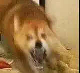  搞笑聊天表情包