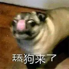  舔狗必备表情包今天该舔谁好呢