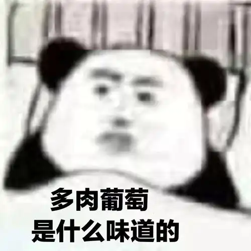 下次一定表情包熊猫头