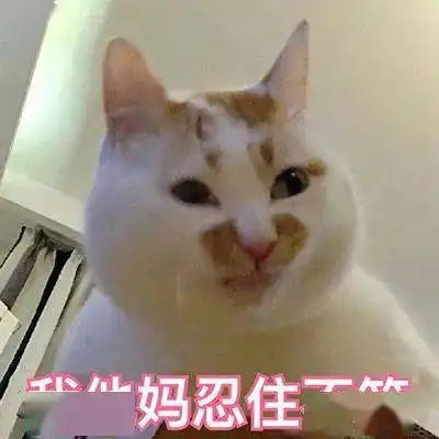  沙雕表情包