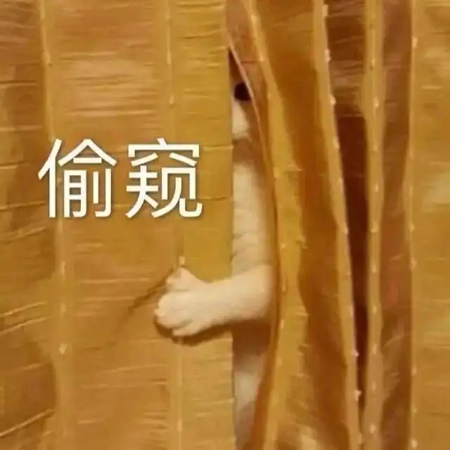  撩人表情包图片别偷窥,我把话就放这里了