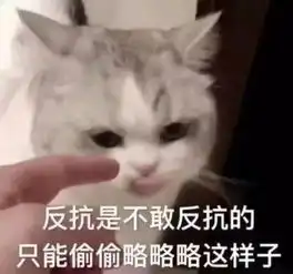 灭灭子表情包反抗