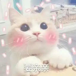  神様