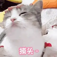  有没有类似她的私生活,金秘书这样甜甜的剧,求推荐