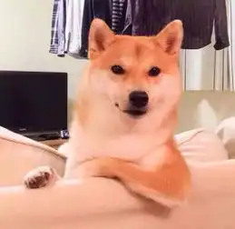 舔狗图片表情包人参乌龙