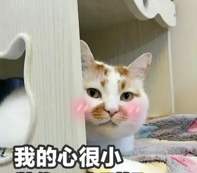  每日一笑你在想啥你开个挖机去相亲,人家不跑才怪