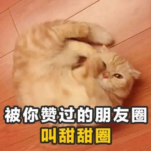  速点前方是七夕交友汇大型剧透