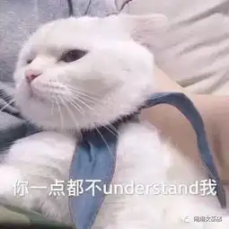  不关自己事也会跟着生气的星座