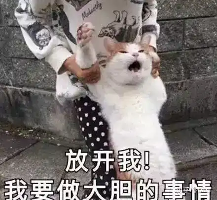  杂谈