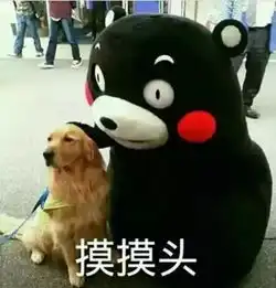  如何把你的产品快速卖到全球一只熊告诉你