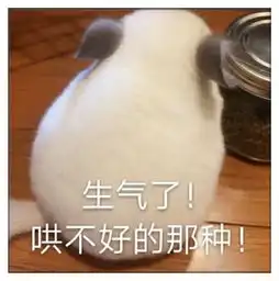  跟男票撒娇专用表情包告诉你,我生气了,并且还是哄不好的那种