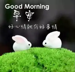  问候大家早安的优美句子2019最美丽的早上好祝福表情