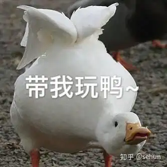  和喜欢玩游戏的男孩子聊什么话题