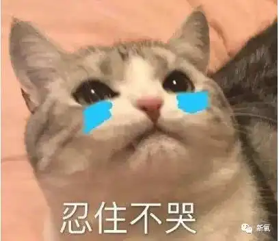  她是香港神颜鼻祖,在经历整形变残后63岁居然美出颜值巅峰