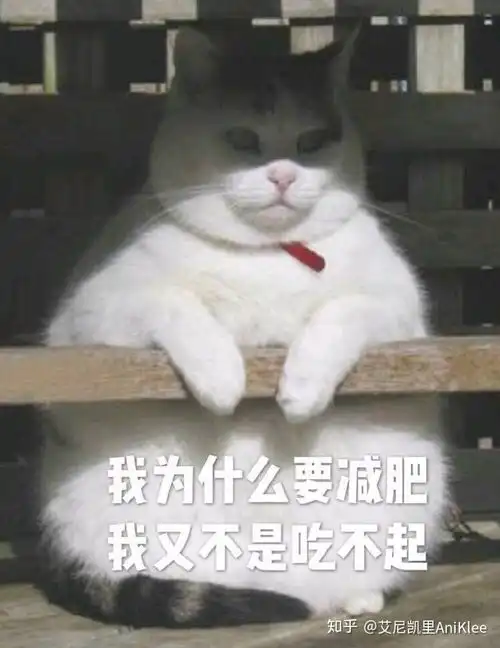  如何评价综艺潮流合伙人第三期