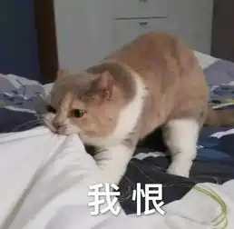  表情包丨好了,我知道了,别说了