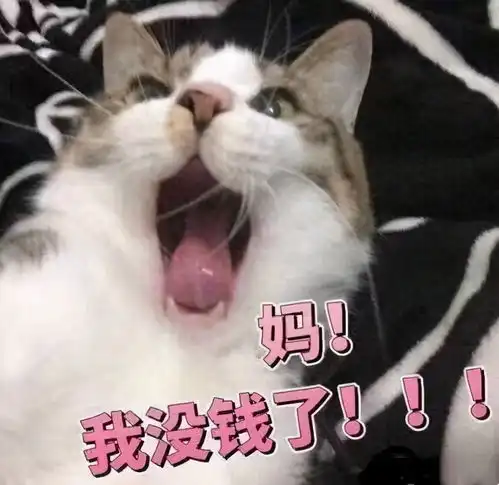 别说了表情包什么意思生