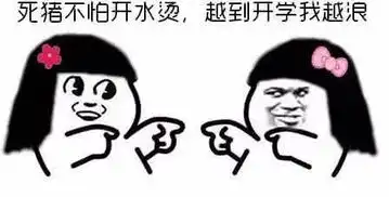  社科初体验萌新有话说