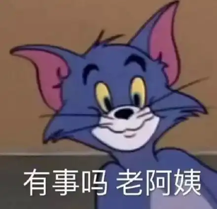 我错了下次还敢表情包猫