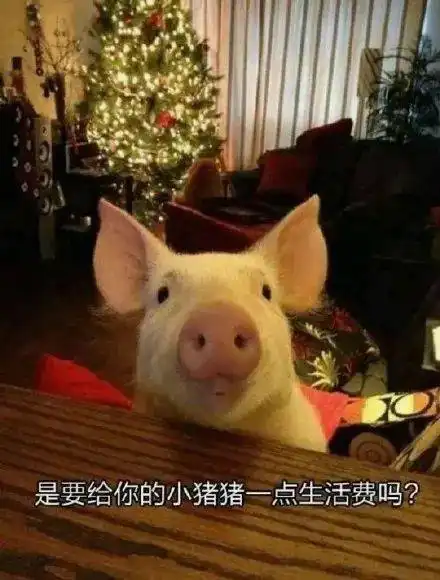 吃鸡游戏搞笑图片表情迷