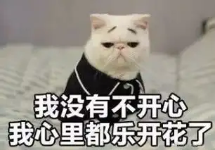  年底了,男朋友结婚了,新娘却不是我