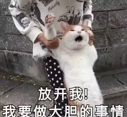 正则不出现在字符串首我终于爱上了正则高级