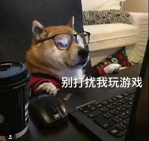  唐能翻译界核心玩家为电竞世界冠军翻译是什么体验