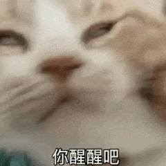  猫猫表情包系列这是你跟我说话的态度