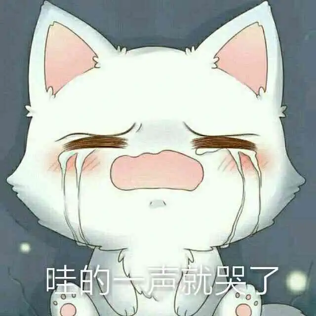  fgo漫画系列王哈哈桑b猫艾蕾b呆小莫高文保罗