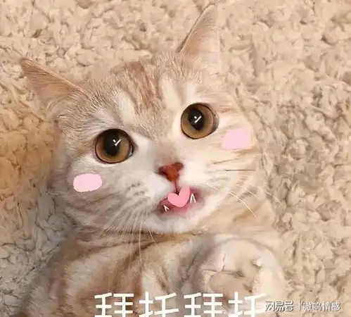  狗狗变身独角兽,眉心中间的尾巴好特别,只可惜不能摆动