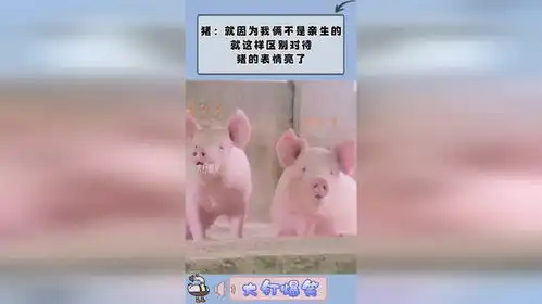  猪就因为我俩不是亲生的,就这样区别对待,猪的表情亮了