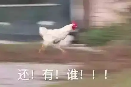 霸总表情包野鸡