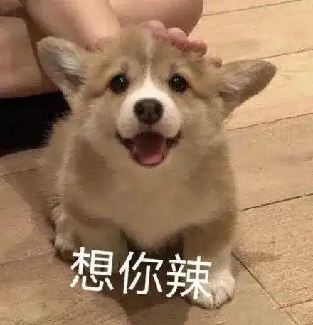  上课和同桌最暧昧的瞬间酸了