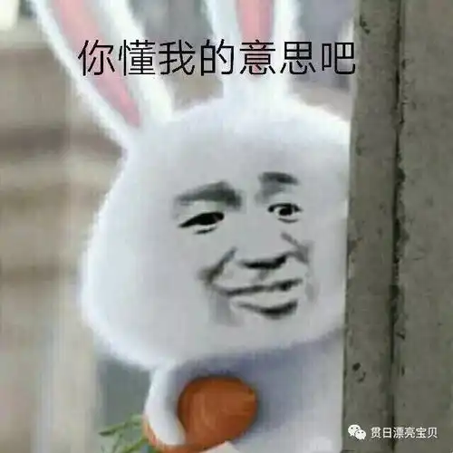 各个表情包的意思猜错