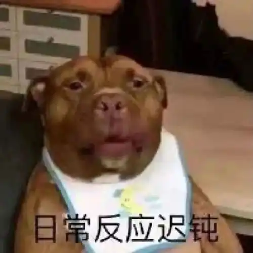 我是你爸爸表情包原图沙