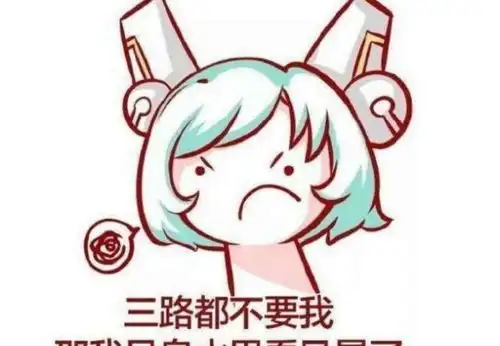 王者荣耀讨皮肤表情包蔡