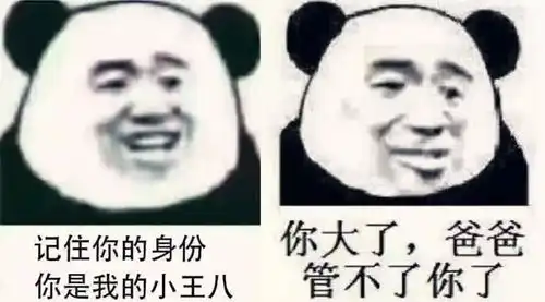 表情群里有人怼你表情包怼到他服上古时期,你这样会被拿去补天的表情