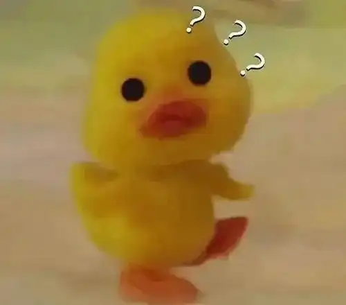 各个表情包的意思鸭子