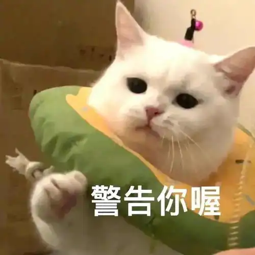  沙雕表情包