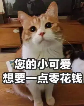  小龙说5分钟,可以做什么这里有n种打开方式