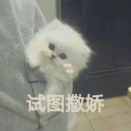 罗汉翻天印撒娇表情包