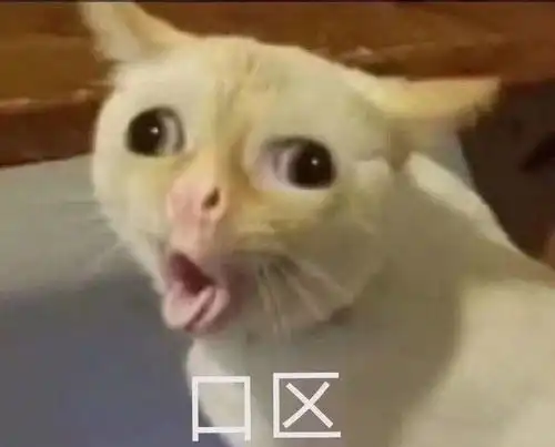 表达谢谢的表情包可爱哈