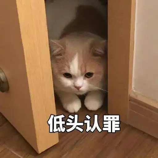  我落榜了,因为考研大小年