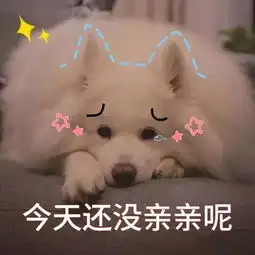  十条笑话我是不是天生的旺夫相