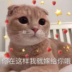  每日表情丨撒娇娇