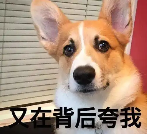  狗能通过尿尿伪装身高专家但有一种狗是例外