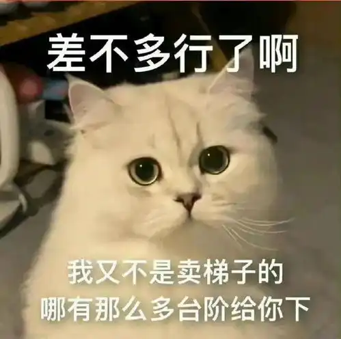 宝贝贴贴表情包小宝贝