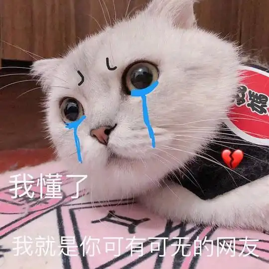 我崩溃了表情包猫咪