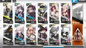  wr10海猫,普狗思路