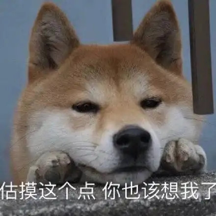 p表情包的文字单身汪